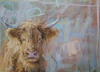 Highland Bullock